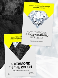 The ‘Diamond in the rough’ management book AND workbook