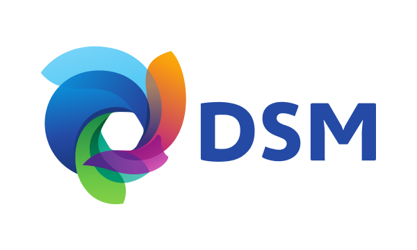 Logo DSM